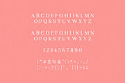 PINK LEMONADE - Elegant Serif, a Serif Font by Schrifted Type (Thumbnail 7 of 8)