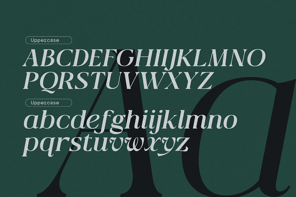 Qlaxe Serif – Update Italics, a Serif Font by Nollev (Photo 5 of 14)