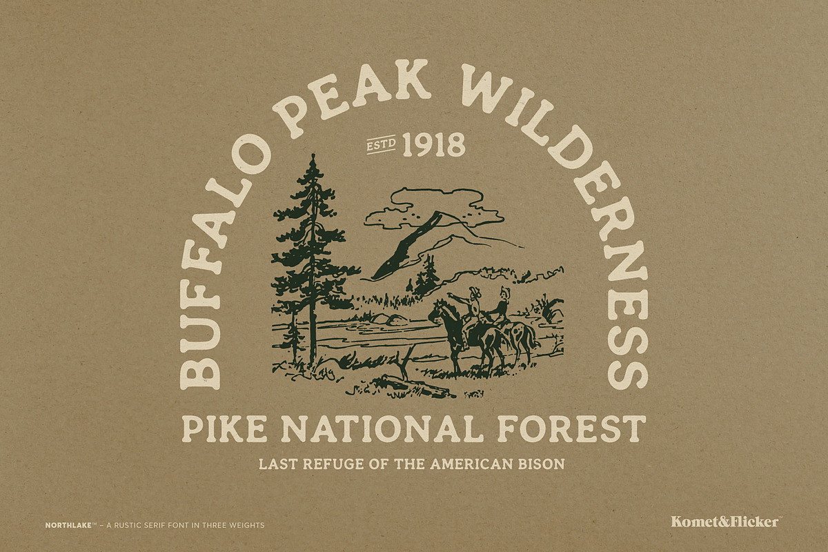 Northlake - A Rustic Serif Font, a Serif Font by Komet & Flicker (Photo 4 of 15)