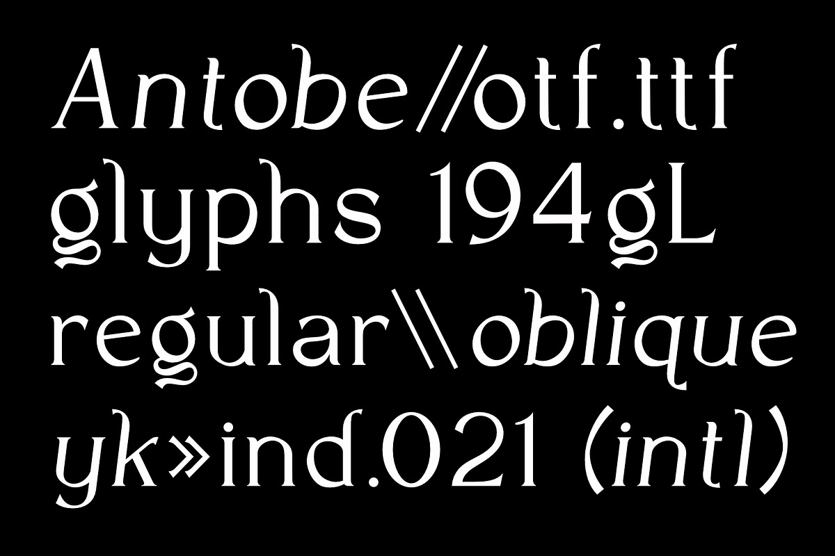 VT Antobe - Modern Serif, a Serif Font by ViactionType (Photo 2 of 12)