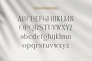 Vogate, a Serif Font by ToniStudio (Thumbnail 4 of 9)