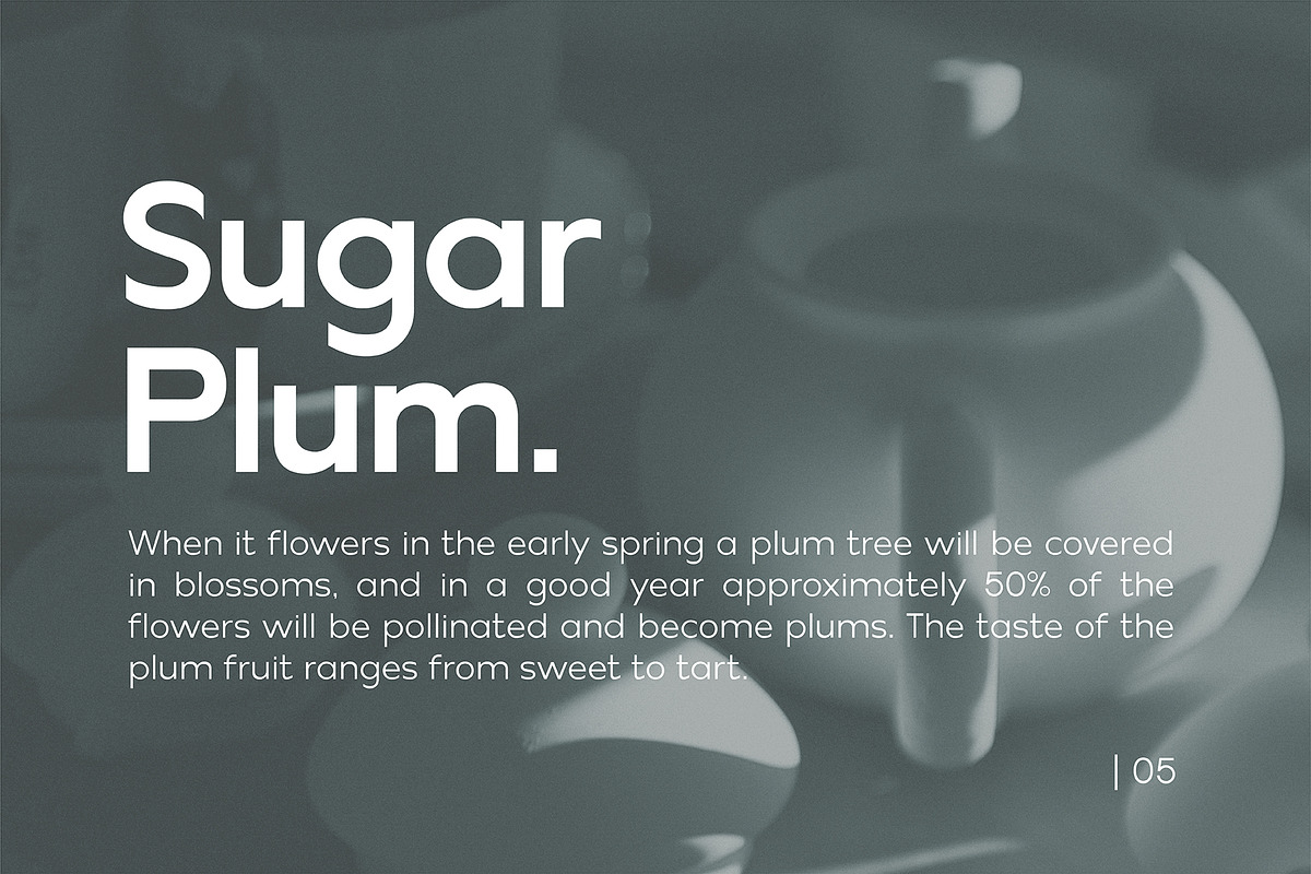 Creambelly, a Sans Serif Font by OWL KING (Photo 9 of 12)