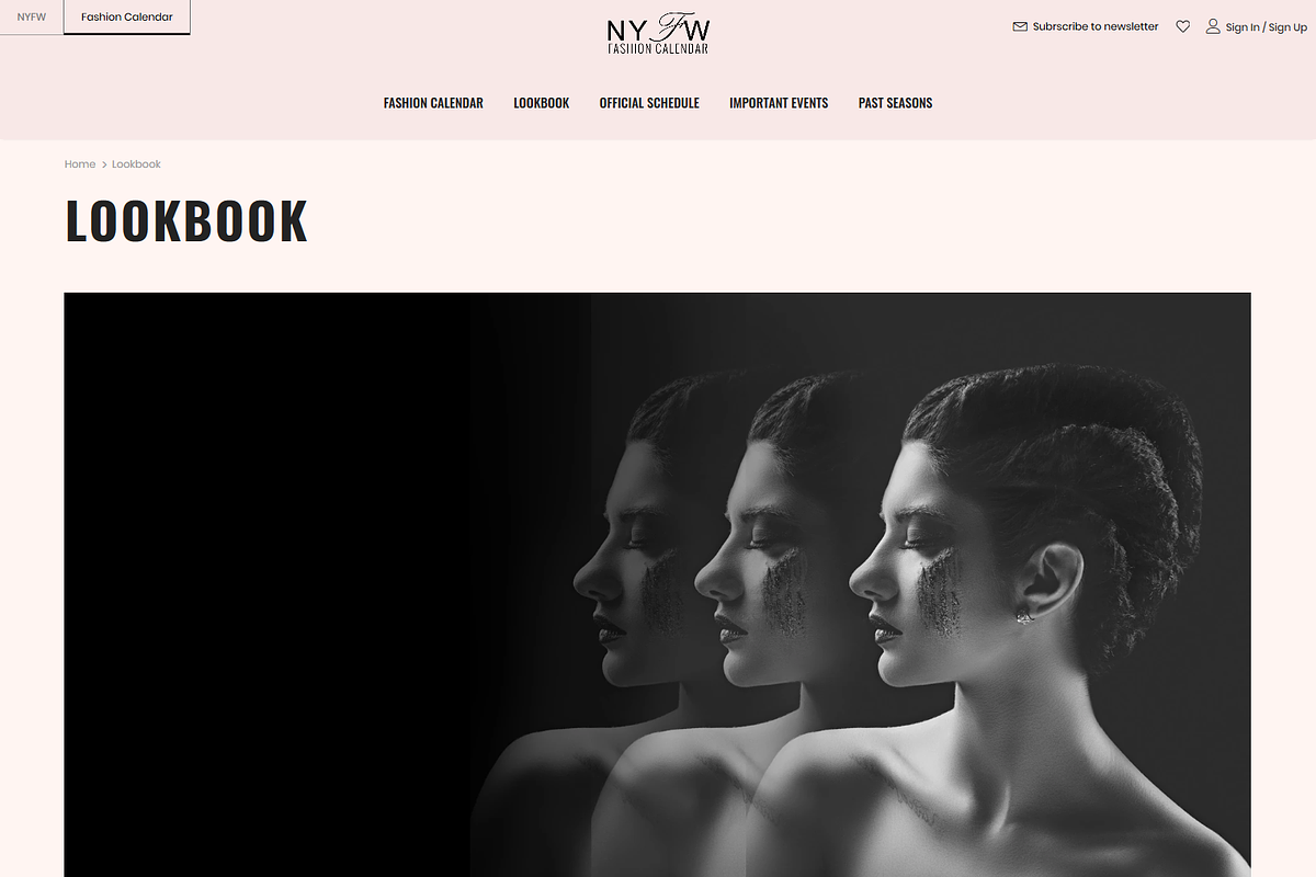 Fashion FWNY - Shopify Theme, a Shopify Template by inSTUDIO43 (Photo 7 of 11)