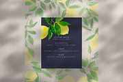 Juicy Watercolor Lemon Set, an Illustration by One and Only Paper (Thumbnail 9 of 9)