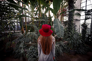 Photo Expert - Lightroom Presets, an Action Add-On by Willa (Thumbnail 7 of 13)