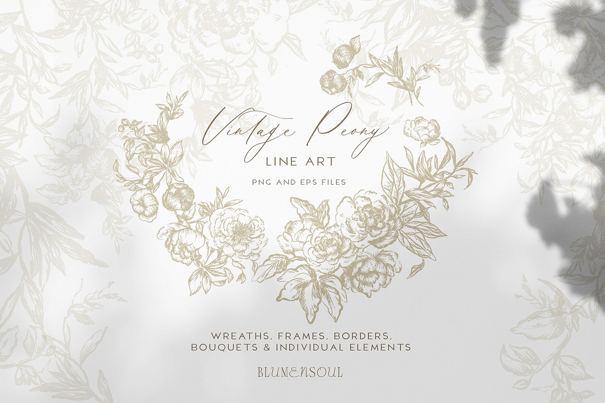 Vintage Peony - Flowers Line Art, a Decorative Illustration by BlumenSoul (Photo 1 of 9)