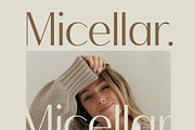 Mozani Elegant Sans Serif Font, a Sans Serif Font by timelesstype.co (Thumbnail 9 of 20)
