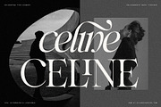 Netsera Calligraphic Serif Typeface, a Serif Font by SilverStag Type Foundry (Thumbnail 4 of 30)
