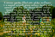 Anija - Handwritten Font, a Handwritten Font by Hakara Type (Thumbnail 2 of 12)