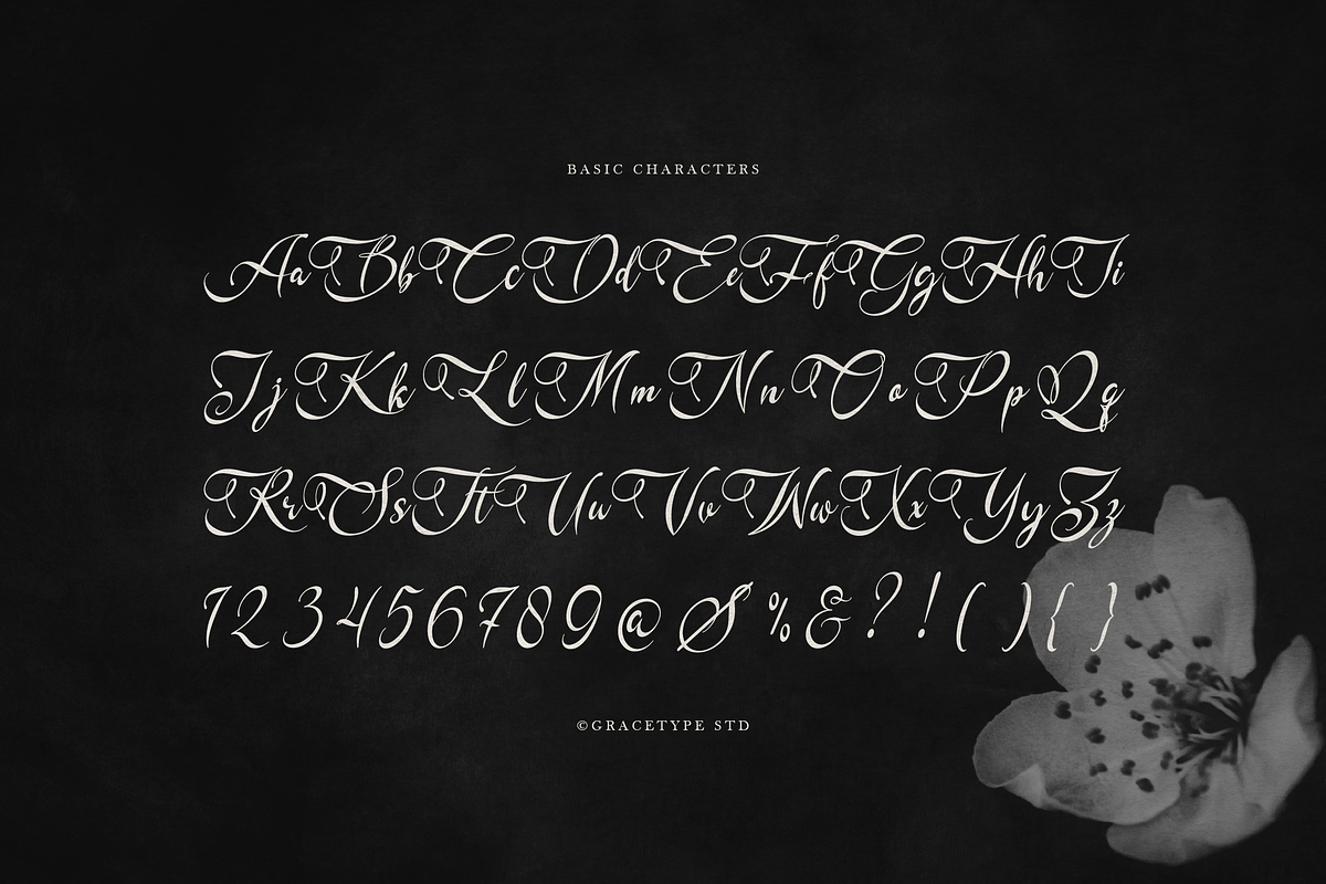 Kadegon | Beauty Calligraphy Script, a Script Font by gracetype_studio (Photo 10 of 12)