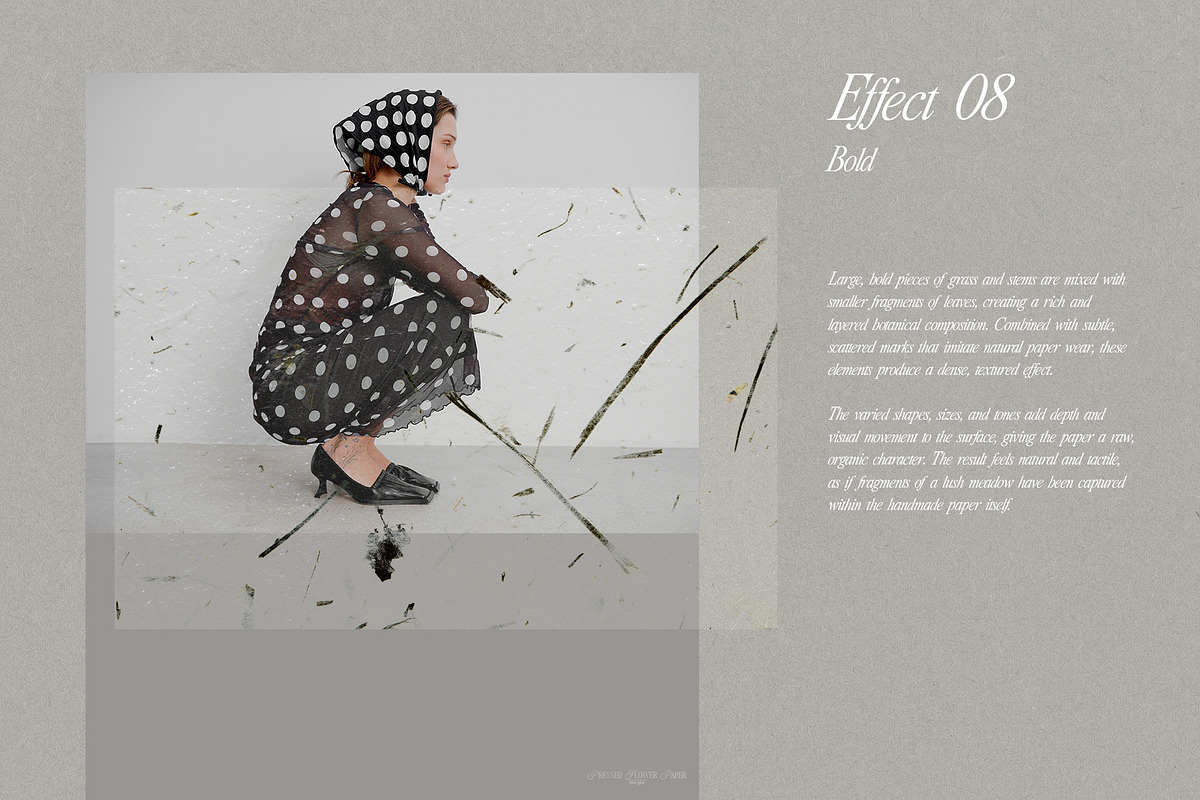 Pressed Flower Paper Effects, a Layer Style Add-On by Kaleriia (Photo 16 of 21)