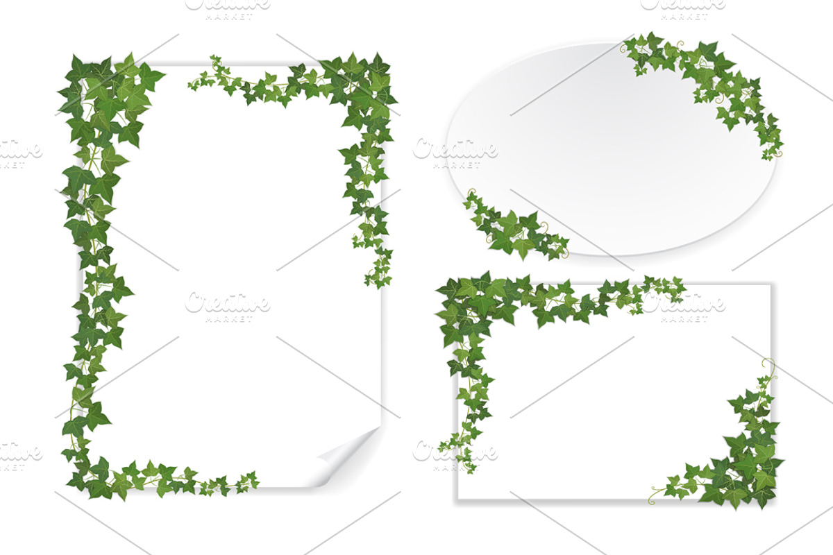 Ivy vector set for floral design, a Decorative Illustration by belander (Photo 3 of 4)