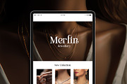 Fergina Modern Ligature Font, a Serif Font by RantautypeStudio (Thumbnail 3 of 15)