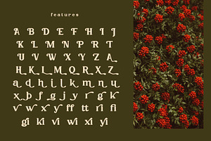 Cranberra Font