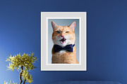 Wall Photo Mockups, a Print Template by Graphic_Art (Thumbnail 1 of 7)
