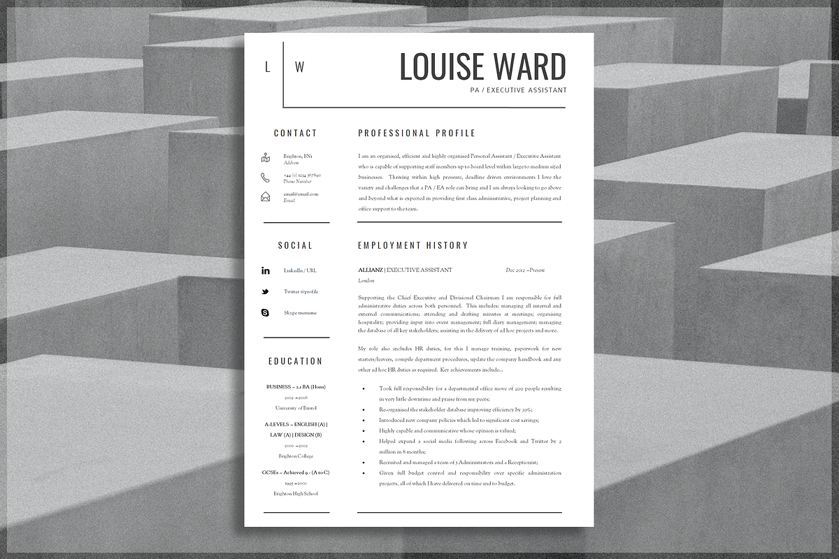 Professional Resume Template, a Resume Template by introDuice - CV / Resumes (Photo 1 of 6)