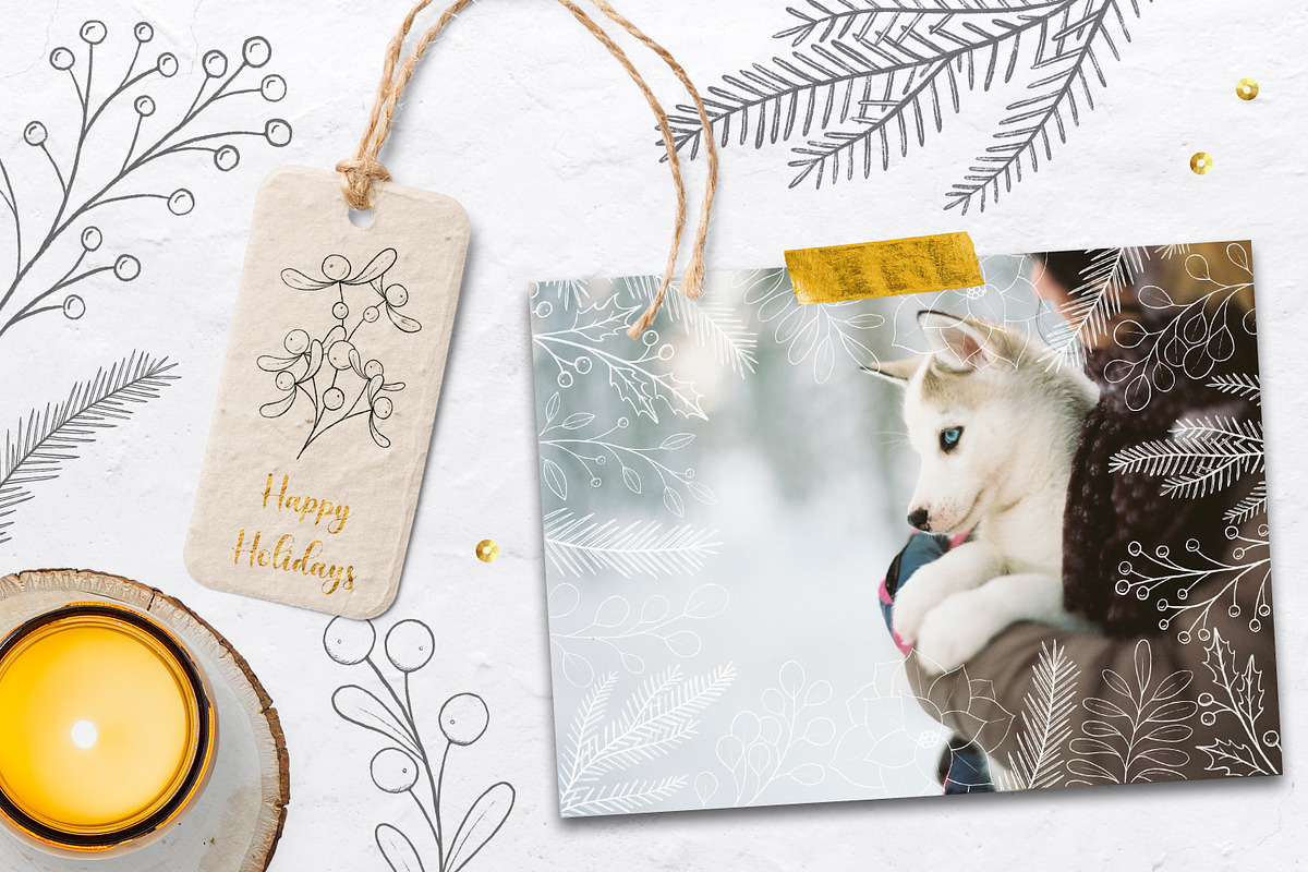 Winter Plants Procreate Stamps, a Brush Add-On by Little Nordic Atelier (Photo 2 of 4)