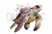 Summer Sea Turtle Clipart, an Illustration by Craft Nest (Thumbnail 11 of 12)