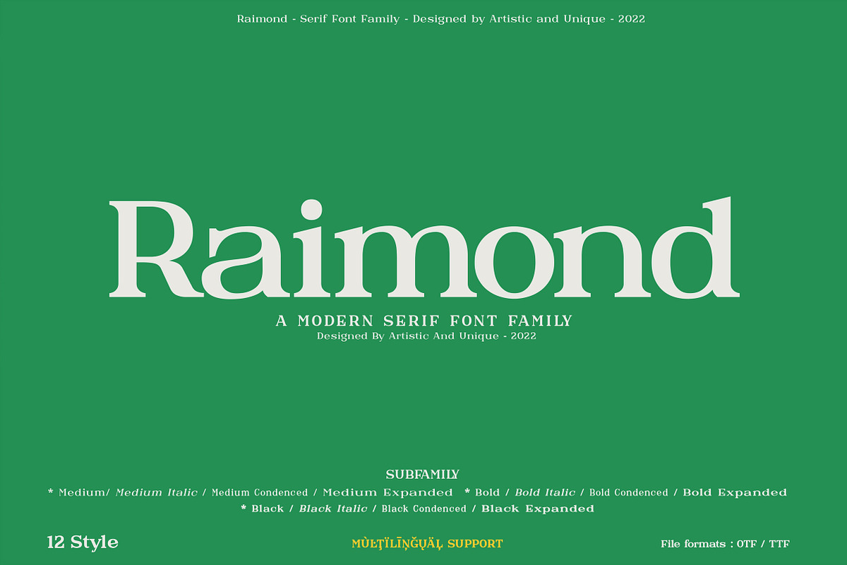Raimond - Serif font family, a Serif Font by Artistic & Unique (Photo 1 of 15)