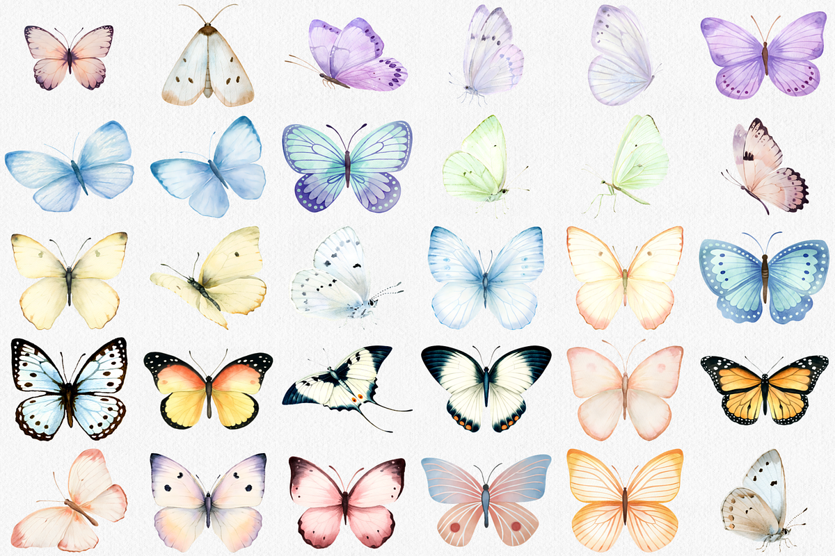Watercolor Butterfly Clipart Set, an Animal Illustration by CropUp Creative (Photo 2 of 4)