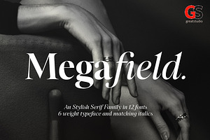 Megafield Serif Family | 12 Fonts