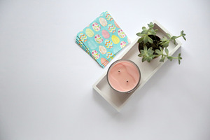 Color and Succulent 