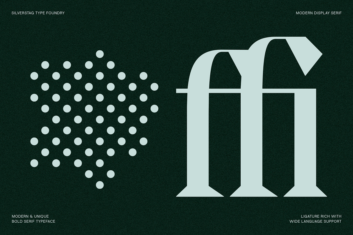 Tangled Rockaway Vintage Serif Font, a Serif Font by SilverStag Type Foundry (Photo 12 of 18)