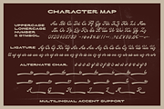 Canberra Alcon Vintage Font Duo, a Script Font by Tyasify (Thumbnail 12 of 13)