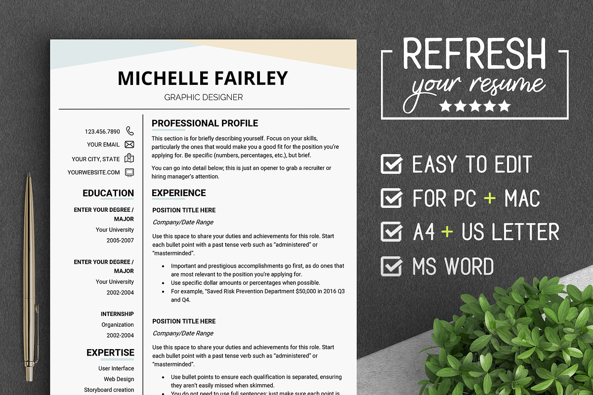 Professional RESUME Template #MF, a Resume Template by LevelUpResume (Photo 1 of 5)