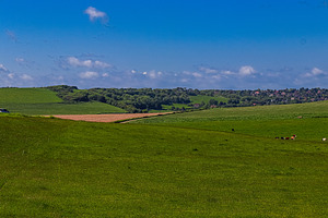 Green rolling hills with grazing cows, distant village, clear blue sky, English, a Photo by Studio ANNA