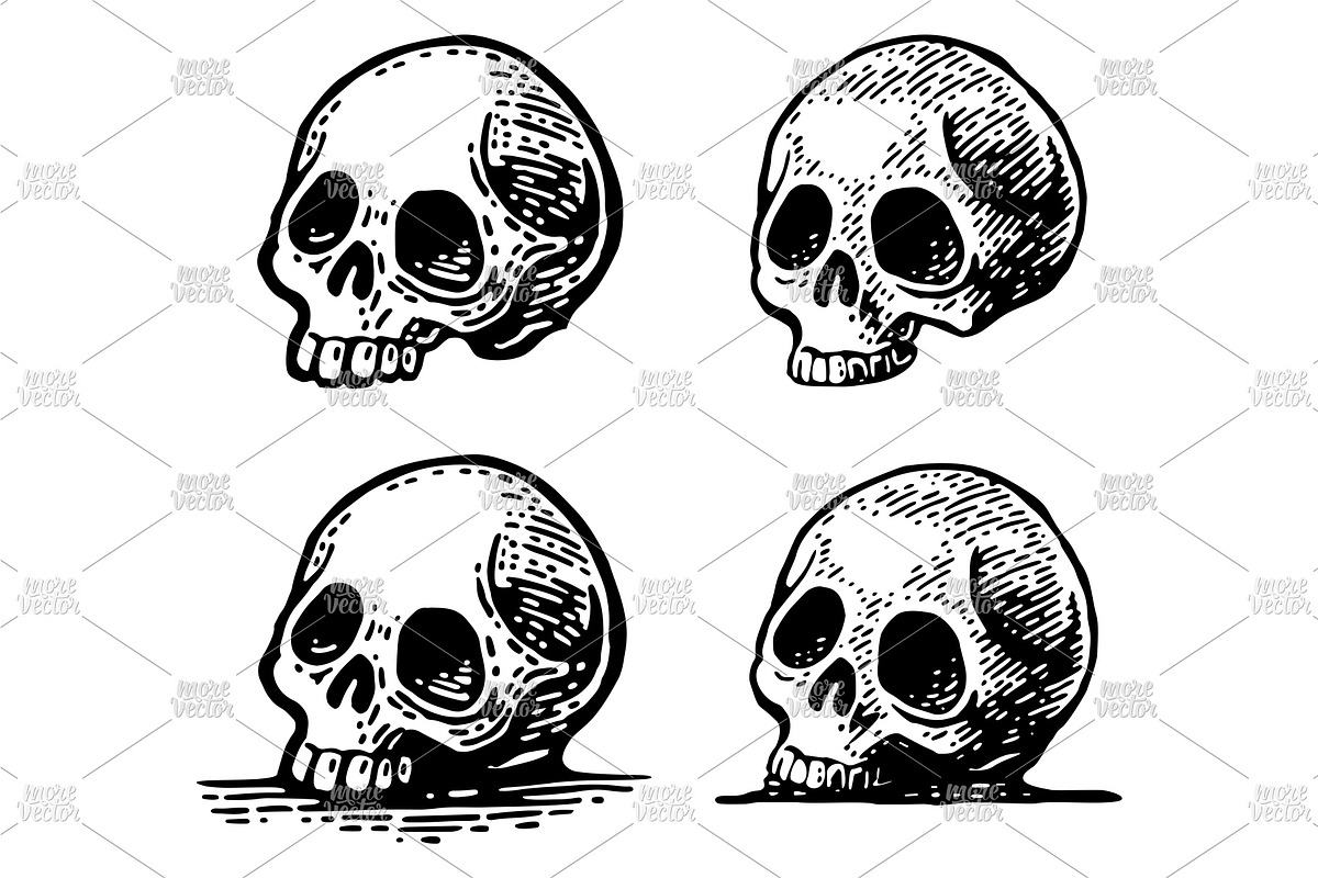 Skull human. Engraving vintage, a Person Illustration by MoreVector (Photo 3 of 3)
