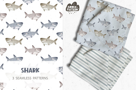 Shark