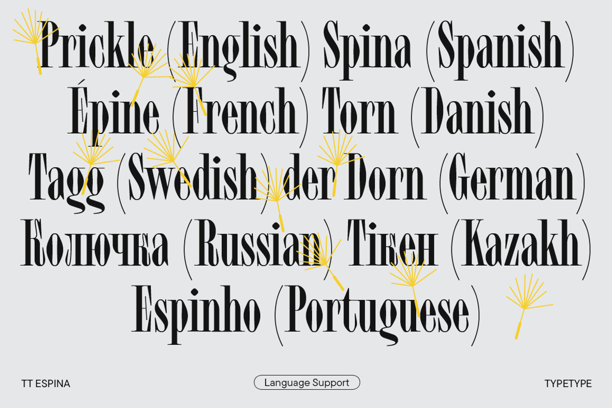 TT Espina, a Serif Font by TypeType (Photo 12 of 15)