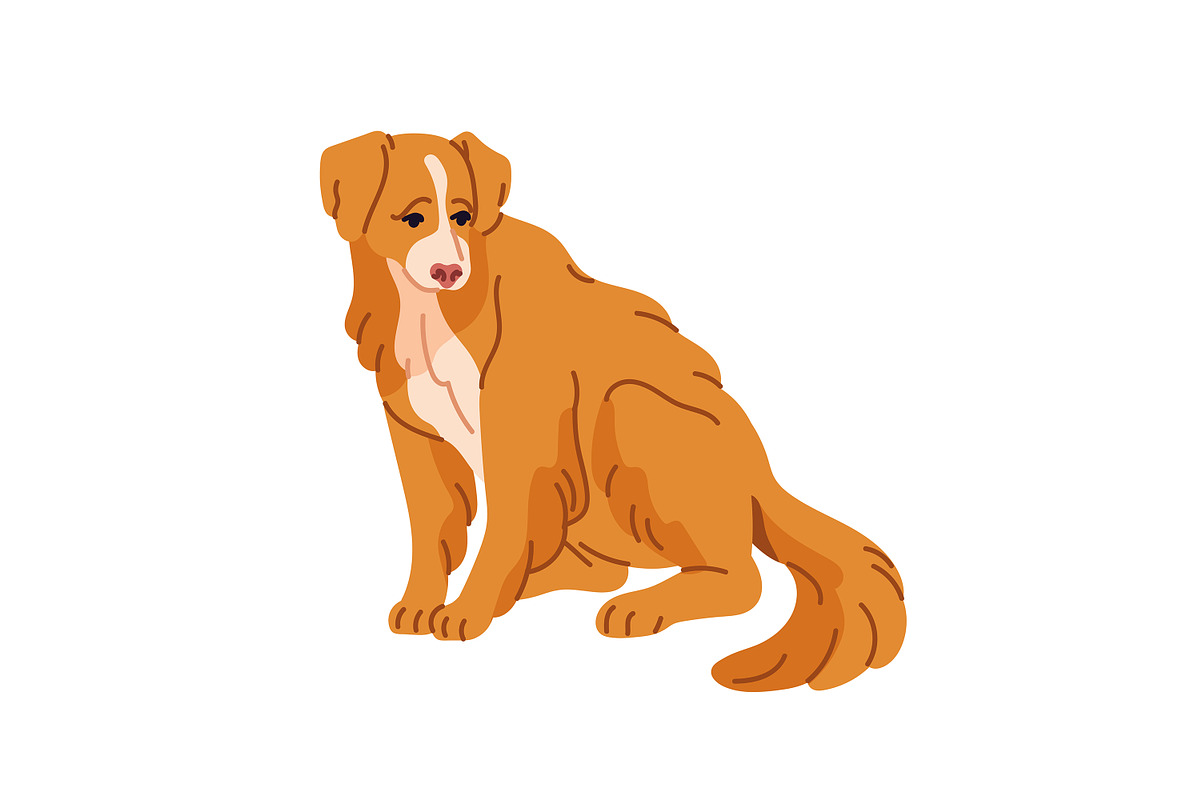 Happy dogs of different breeds set, an Animal Illustration by PaperTrident (Photo 3 of 11)