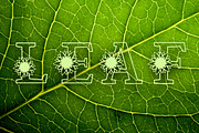 Sunflower Bright, a Font by Actual Pixel (Thumbnail 7 of 7)