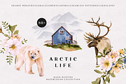 Arctic Life watercolor collection, an Animal Illustration by Diana Askarova Art (Thumbnail 1 of 11)