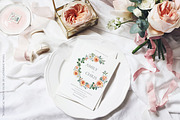 Watercolor Botanical Florals, a Decorative Illustration by Catherine Wheel (Thumbnail 7 of 43)