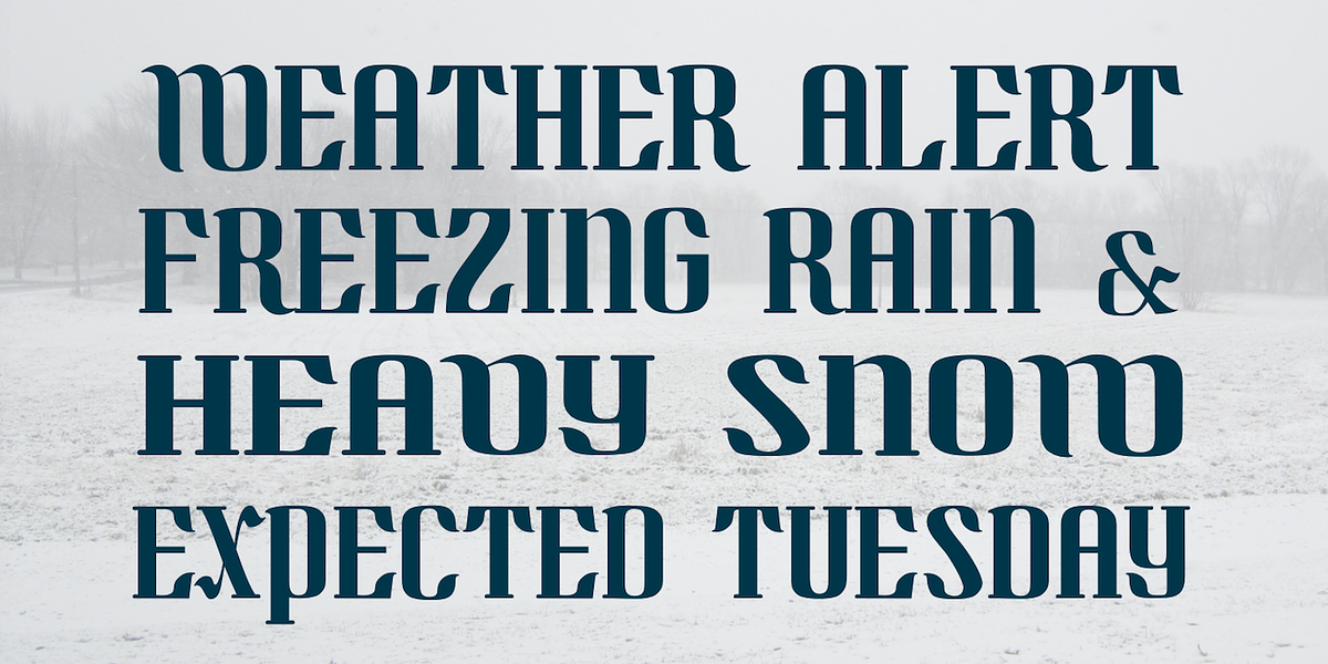 Quidic, a Serif Font by Ingrimayne Type (Photo 4 of 8)