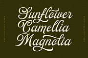 Beauty Reflections - Elegant Script, a Script Font by Letterhend Studio (Thumbnail 7 of 9)