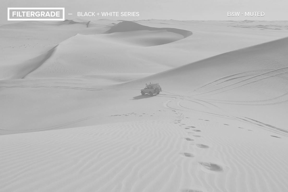 FilterGrade Black & White Series, an Action Add-On by FilterGrade (Photo 4 of 5)