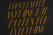 Vaynard Classy Font, a Serif Font by Motiontail Studio (Thumbnail 2 of 6)