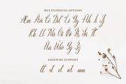 Emiliana a Modern Calligraphy Font, a Script Font by Fatmawati (Thumbnail 11 of 12)
