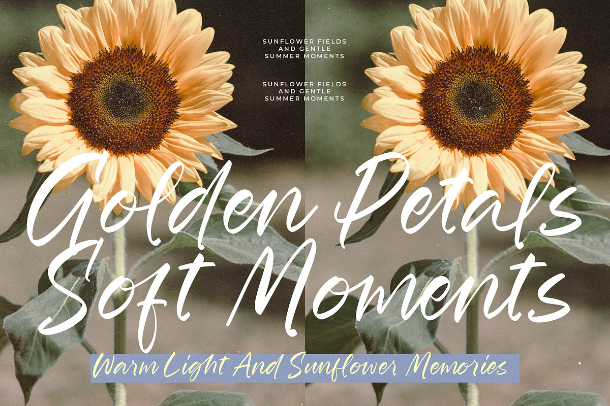 Fordsmith New Handwritten Script, a Script Font by stylishtype.co (Photo 13 of 20)