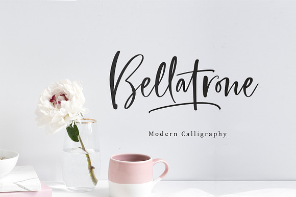 Bellatrone - Modern Script preview 8