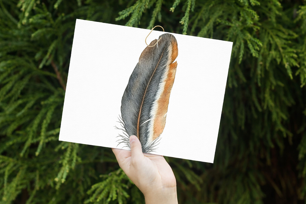 Feather Watercolor Clipart, an Illustration by Libby Wishes (Photo 6 of 7)