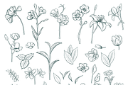 Line Art Flowers Clipart Floral Set, an Object Graphic by KlymchukArtworks (Thumbnail 8 of 8)