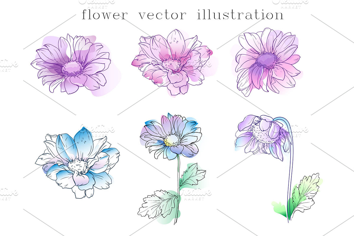 Ink Vector Chamomile, a Decorative Illustration by Sweet_print (Photo 4 of 6)