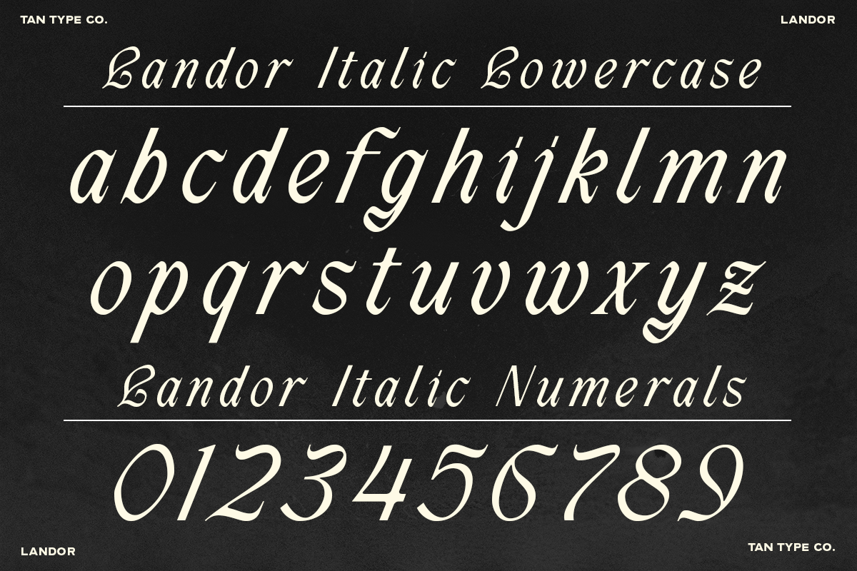 TAN - LANDOR, a Blackletter Font by TanType (Photo 12 of 14)