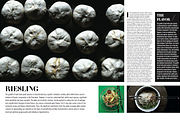 Magazine Template, a Magazine Template by Cristian Villegas Studio (Thumbnail 13 of 14)
