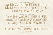 Luxury Styilsh Modern Serif Font, a Serif Font by Lettersiro (Thumbnail 7 of 7)